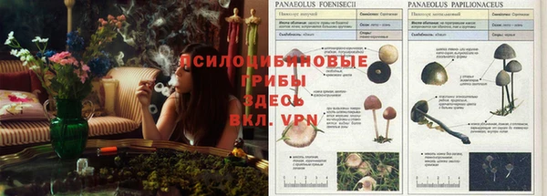 мескалин Баксан