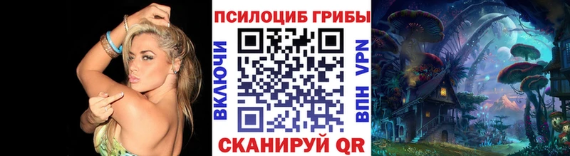 даркнет телеграм  Белёв  Псилоцибиновые грибы ЛСД 