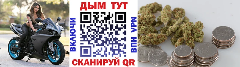 Каннабис сатива  наркота  Белёв 